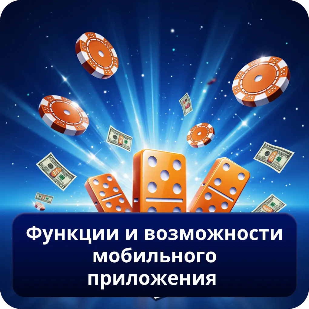 Функции и возможности мобильного приложения